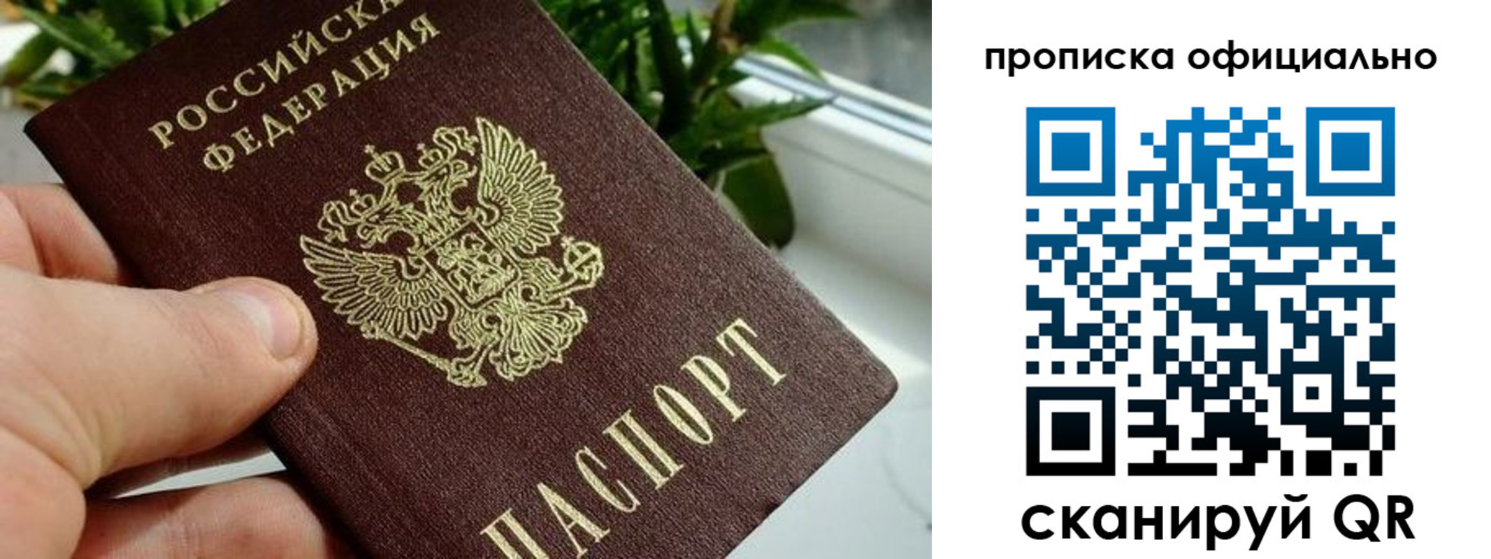 прописка поиск в Щучье